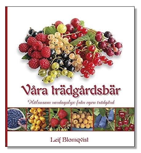 Våra trädgårdsbär - hälsosam vardagslyx från egen trädgård