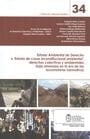 Estado ambiental de derecho o 'estado de cosas inconstitucional ambiental' derechos colectivos y ambientales bajo amenaza en la era de las locomotoras normativas
