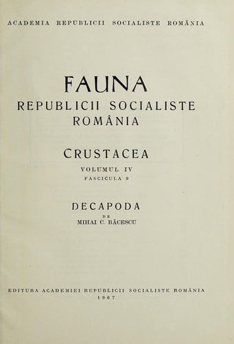 Familia Salticidae