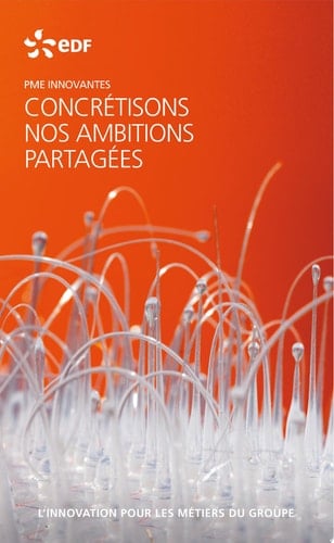 EDF PME innovantes - L'innovation pour les métiers du groupe