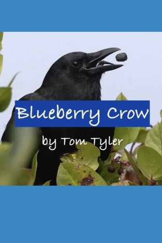Blueberry Crow
