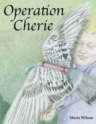 Operation Cherie