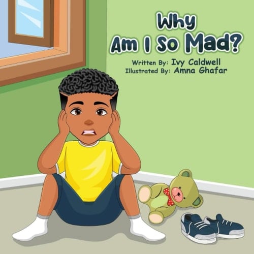 Why Am I So Mad? (Footprint Book Series)