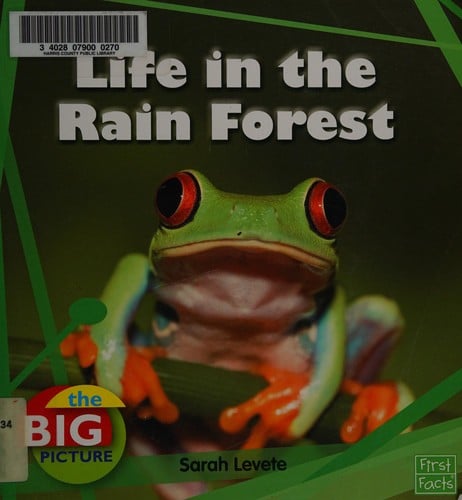 Life in the rain forest