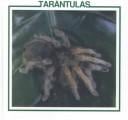 Tarántulas