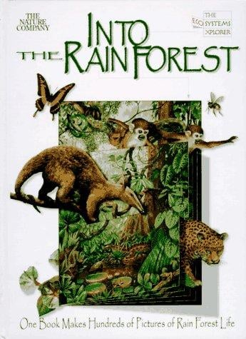 Into the rainforest