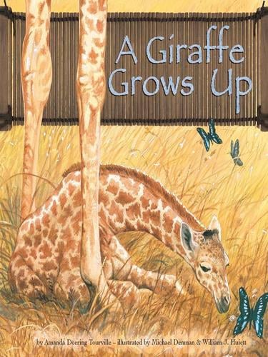 A Giraffe Grows Up