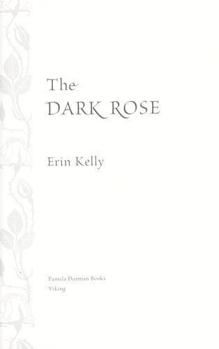 The dark rose