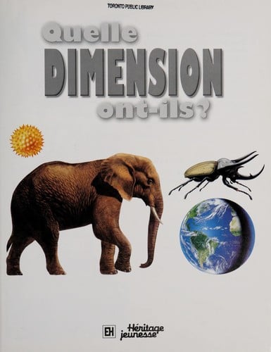 Quelle dimension ont-ils?