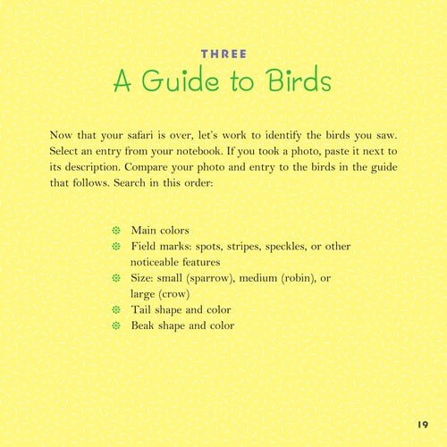 Birds